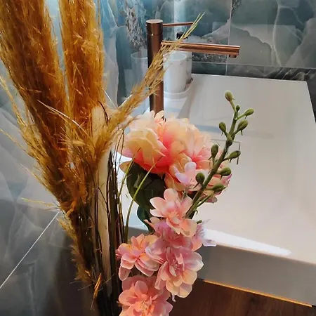 Maison Moderne Et Chaleureuse A *